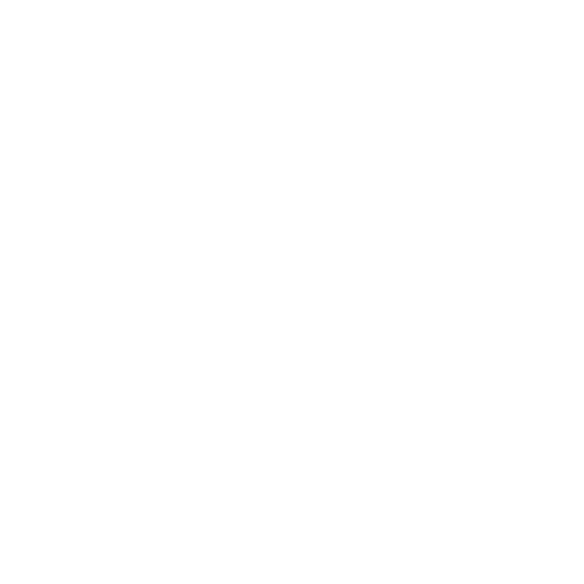 Pizza Icon