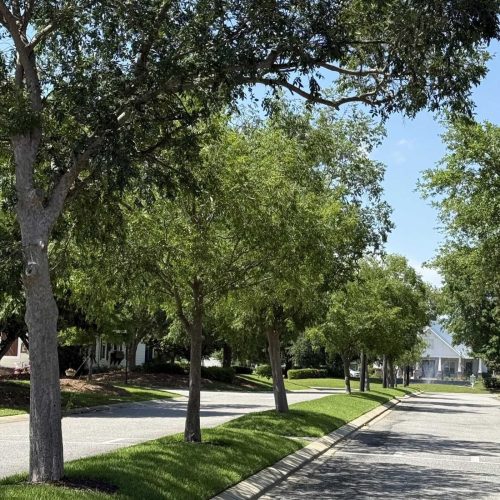Cottages On The Greene